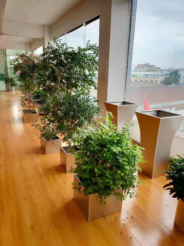 西安辦公綠植出租|西安碧盛園藝13002920517